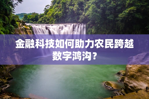 金融科技如何助力农民跨越数字鸿沟？