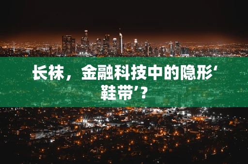 长袜，金融科技中的隐形‘鞋带’？