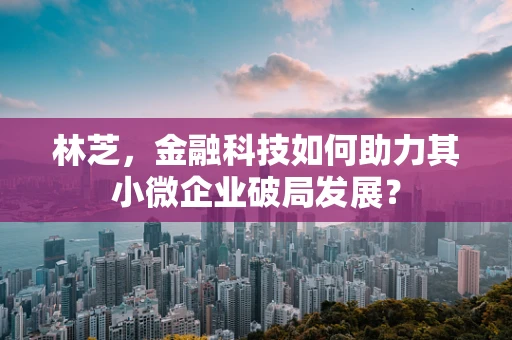 林芝，金融科技如何助力其小微企业破局发展？