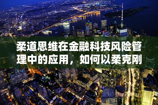 柔道思维在金融科技风险管理中的应用，如何以柔克刚，化解风险？