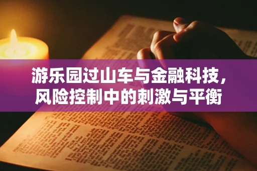 游乐园过山车与金融科技，风险控制中的刺激与平衡