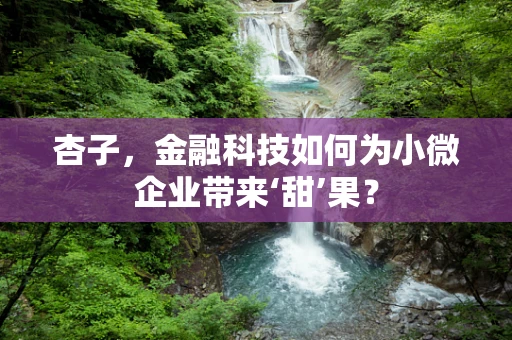 杏子，金融科技如何为小微企业带来‘甜’果？