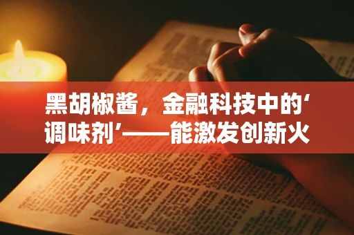 黑胡椒酱，金融科技中的‘调味剂’——能激发创新火花吗？
