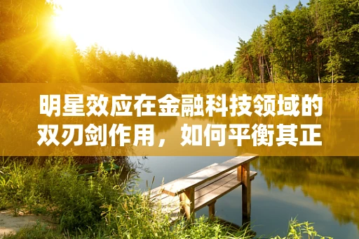 明星效应在金融科技领域的双刃剑作用，如何平衡其正面与潜在风险？