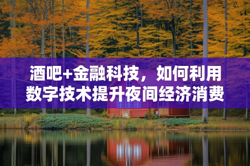 酒吧+金融科技，如何利用数字技术提升夜间经济消费体验？
