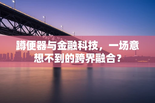 蹲便器与金融科技，一场意想不到的跨界融合？