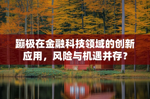 蹦极在金融科技领域的创新应用，风险与机遇并存？
