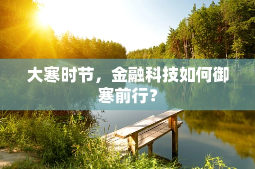 大寒时节，金融科技如何御寒前行？