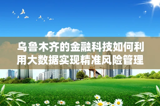 乌鲁木齐的金融科技如何利用大数据实现精准风险管理？
