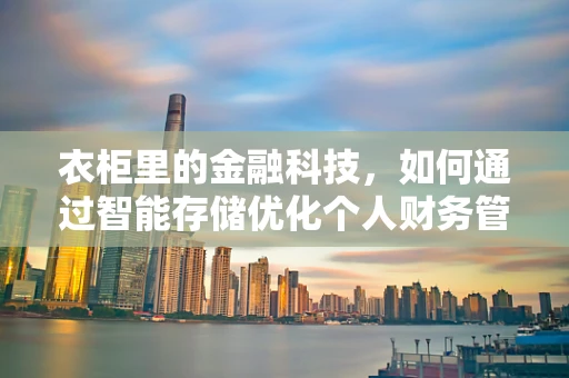 衣柜里的金融科技，如何通过智能存储优化个人财务管理？