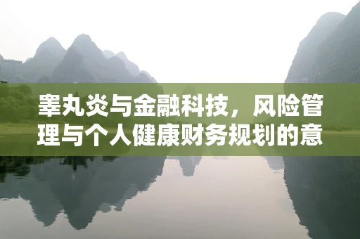 睾丸炎与金融科技，风险管理与个人健康财务规划的意外交集