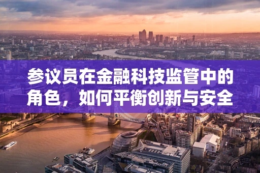 参议员在金融科技监管中的角色，如何平衡创新与安全？