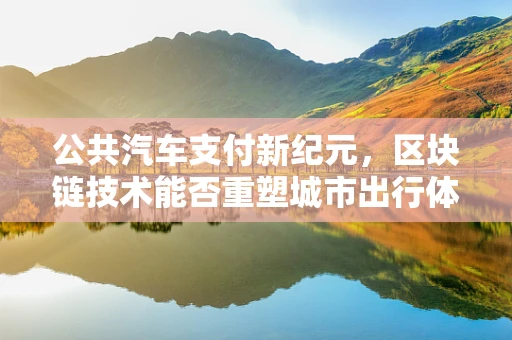 公共汽车支付新纪元，区块链技术能否重塑城市出行体验？
