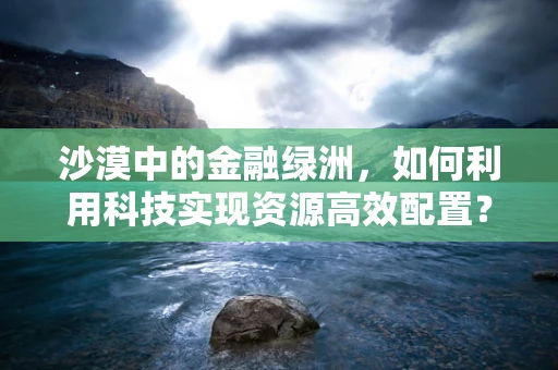 沙漠中的金融绿洲，如何利用科技实现资源高效配置？