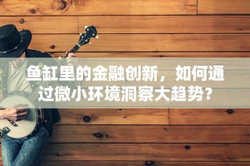 鱼缸里的金融创新，如何通过微小环境洞察大趋势？