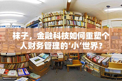 袜子，金融科技如何重塑个人财务管理的‘小’世界？