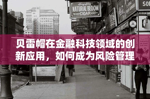 贝雷帽在金融科技领域的创新应用，如何成为风险管理的时尚新宠？