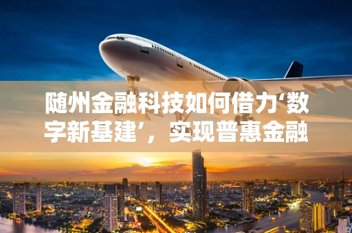 随州金融科技如何借力‘数字新基建’，实现普惠金融新飞跃？