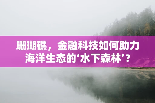 珊瑚礁，金融科技如何助力海洋生态的‘水下森林’？