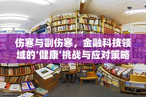 伤寒与副伤寒，金融科技领域的‘健康’挑战与应对策略