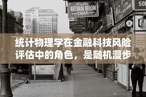 统计物理学在金融科技风险评估中的角色，是随机漫步还是有序排列？