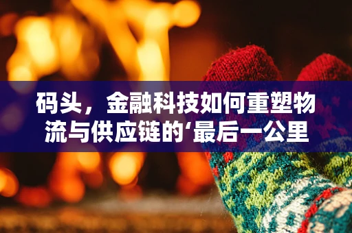 码头，金融科技如何重塑物流与供应链的‘最后一公里’？