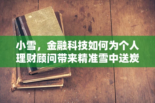 小雪，金融科技如何为个人理财顾问带来精准雪中送炭的体验？