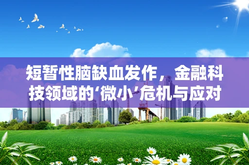 短暂性脑缺血发作，金融科技领域的‘微小’危机与应对策略