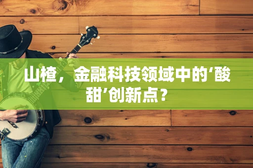 山楂，金融科技领域中的‘酸甜’创新点？