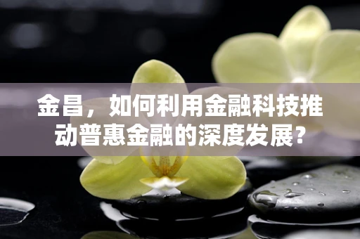 金昌，如何利用金融科技推动普惠金融的深度发展？