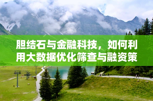 胆结石与金融科技，如何利用大数据优化筛查与融资策略？