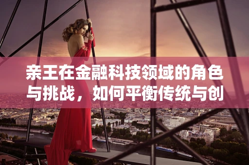 亲王在金融科技领域的角色与挑战，如何平衡传统与创新的融合？