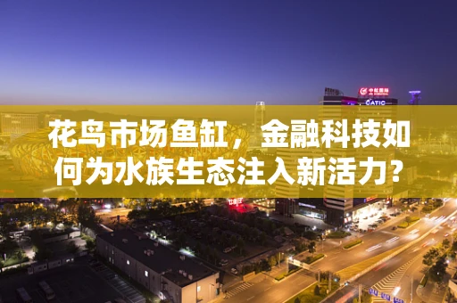 花鸟市场鱼缸，金融科技如何为水族生态注入新活力？