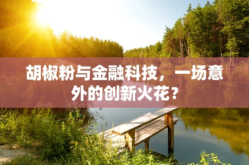 胡椒粉与金融科技，一场意外的创新火花？