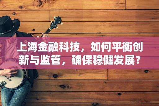 上海金融科技，如何平衡创新与监管，确保稳健发展？