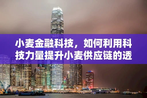 小麦金融科技，如何利用科技力量提升小麦供应链的透明度与效率？