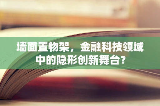 墙面置物架，金融科技领域中的隐形创新舞台？