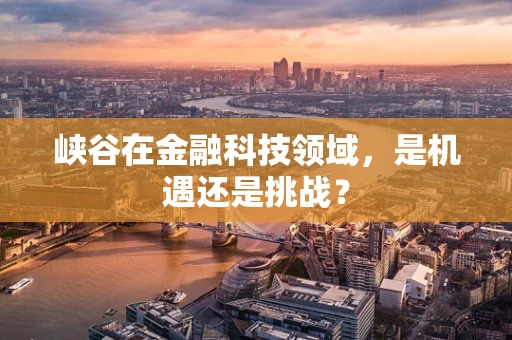 峡谷在金融科技领域，是机遇还是挑战？