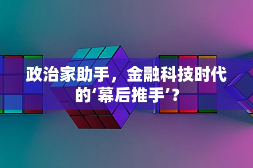 政治家助手，金融科技时代的‘幕后推手’？