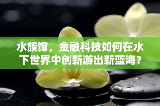 水族馆，金融科技如何在水下世界中创新游出新蓝海？
