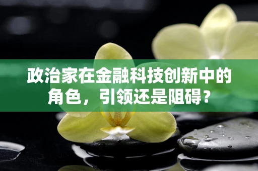 政治家在金融科技创新中的角色，引领还是阻碍？