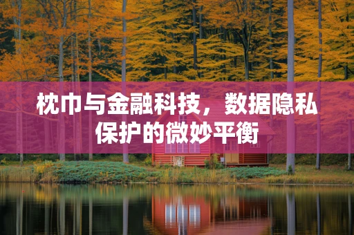 枕巾与金融科技，数据隐私保护的微妙平衡