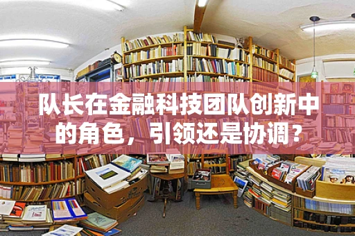 队长在金融科技团队创新中的角色，引领还是协调？