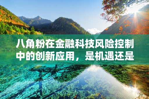 八角粉在金融科技风险控制中的创新应用，是机遇还是陷阱？