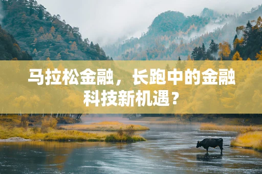 马拉松金融，长跑中的金融科技新机遇？
