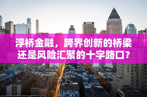 浮桥金融，跨界创新的桥梁还是风险汇聚的十字路口？