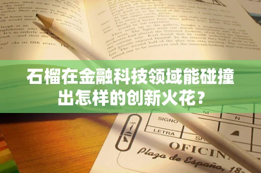 石榴在金融科技领域能碰撞出怎样的创新火花？
