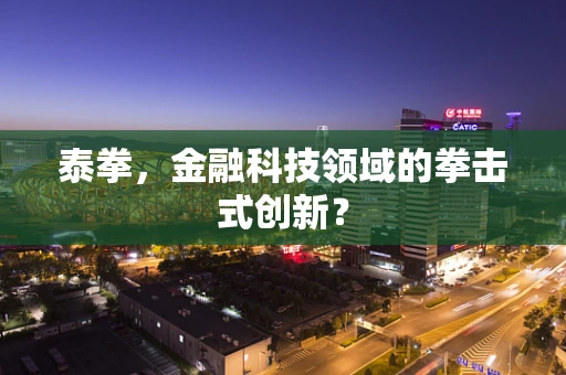 泰拳，金融科技领域的拳击式创新？