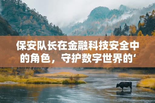 保安队长在金融科技安全中的角色，守护数字世界的‘隐形盾牌’吗？