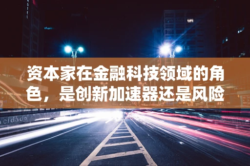 资本家在金融科技领域的角色，是创新加速器还是风险放大器？